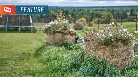 Create A Stunning Garden Anywhere With Straw Bale Gardening St George