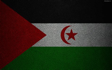 Download Wallpapers Flag Of Western Sahara 4k Leather Texture Africa