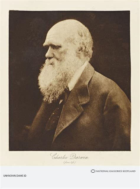 Charles Darwin 1809 1882 Naturalist And Geologist National