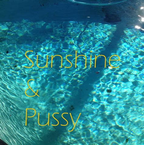 Sunshine And Pussy Photography By Stephen Brailo Saatchi Art
