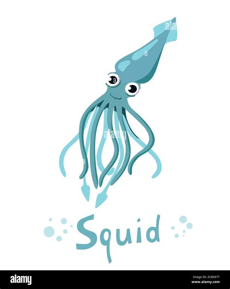 Squid Animal Cartoon Character Isolated On White Background Vector