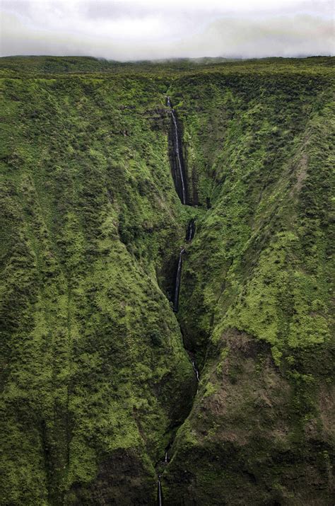 A Waterfall Plunges Hundreds Of Feet Into The Kohala Forest Reserve