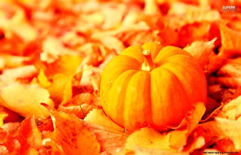 Fall Leaves And Pumpkin Wallpaper Wallpapers Gallery