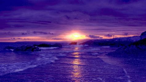 Purple Sky Purple Sunset Ocean Wallpaper Sunrise Sunset