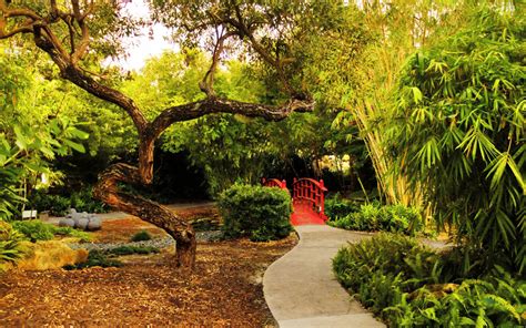 It is 30% smaller than. Miami Beach Botanical Garden | Travel + Leisure