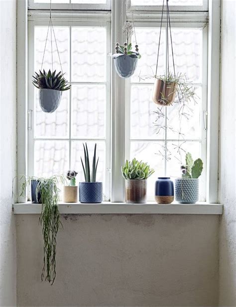 4 products online at nurserylive. Impressive Window Sill Inspiration with Best 10 Window ...