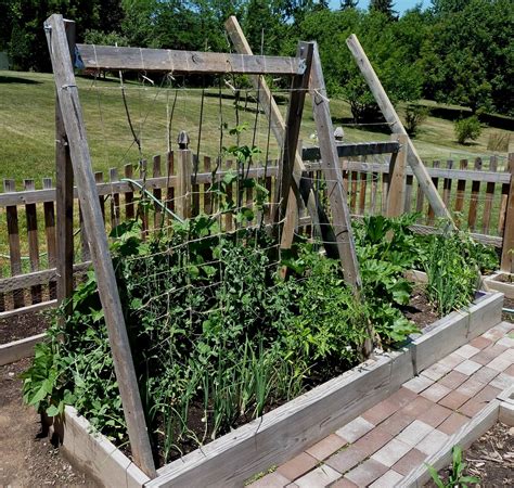 Lean To Green Bean Trellis Frame Garden And Landscaping Pinterest
