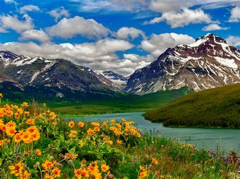 Spring Landscape Wild Flowers Yellow Color Lake Mountains With Remains