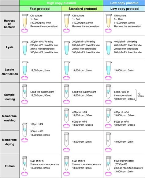 FastGene Plasmid Mini Kit NIPPON Genetics EUROPE