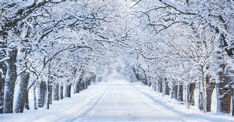 The Ultimate Guide To Having A Happy And Healthy Winter