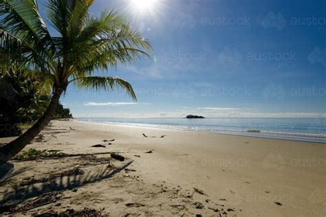 Image Of Beautiful Sunny Tropical Beach Scene With Palm
