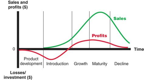 Stages Of The Product Life Cycle