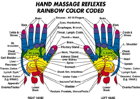 Hand Reflexology Reflexology Oils Reflexology Hand Chart Reflexology
