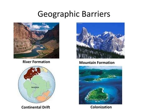 Ppt Chapter 24 The Origin Of Species Powerpoint Presentation Free