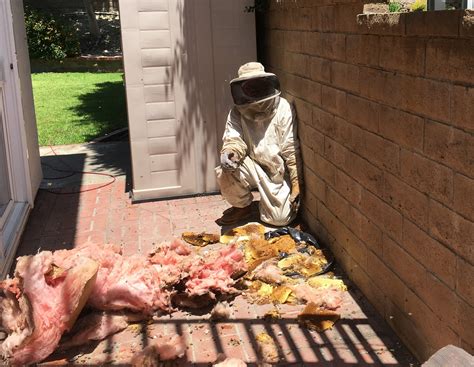 Service pros are seen as the very bottom of the company and they show that through pay and lack of care for customers. IMG_0163 - Termite Inspection Orange County Termite Terry ...