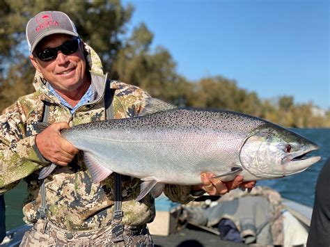 Sacramento River Salmon Fishing Report