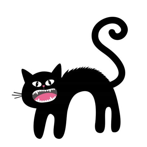 110 Cat Arching Back Illustrations Royalty Free Vector Graphics