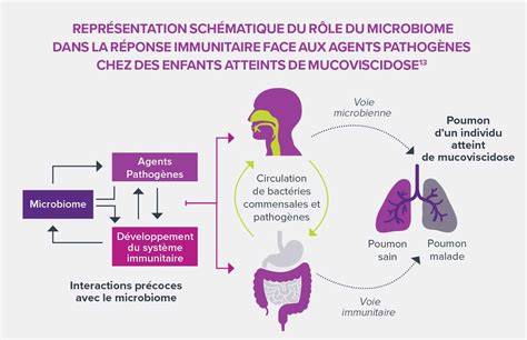 Microbiote Respiratoire Et Infections Pulmonaires Liées à La