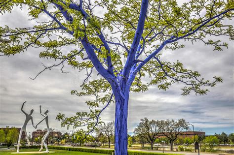 Blue Trees In Downtown Denver Editorial Stock Photo Image Of