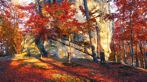 Wallpaper Ukraine Stones Trees Red Leaves Autumn Sun Rays