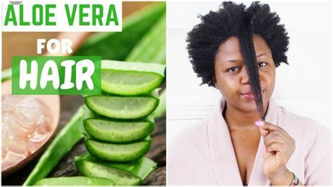 I have found that i can use it on dry hair with decent results. ALOE VERA FOR HAIR MASK | ALOE VERA DEEP CONDITIONER FOR ...