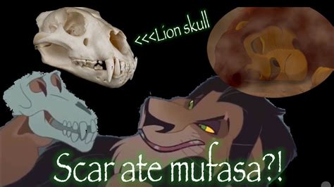 Scar Ate Mufasa Lion King Theorie Game Videos