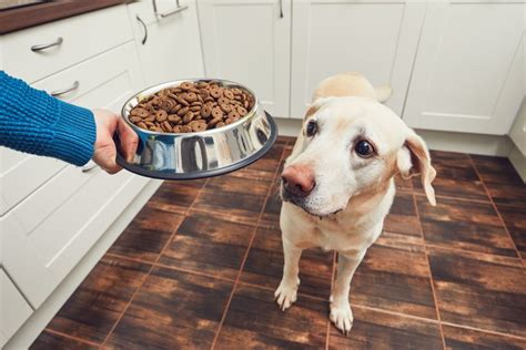 If you google search the words 'best dog food brands', you'll get about 900,000,000 results to choose from. 9 Expert Tips For Choosing The Right Brand Of Healthy Dog ...