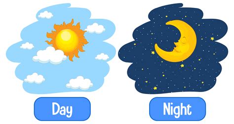 Day And Night Vector Art Icons And Graphics For Free Download