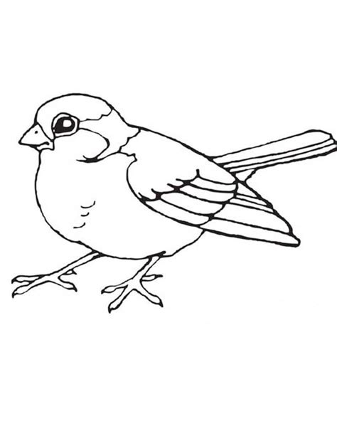 Blue Bird Coloring Coloring Pages