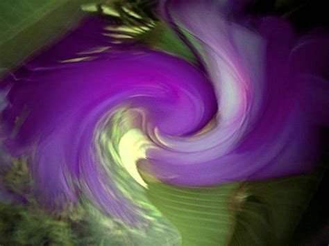 an abstract photograph of purple and green swirls