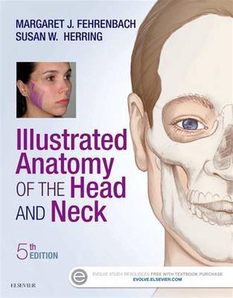 Illustrated Anatomy Of The Head And Neck 5th Edition By Margaret J