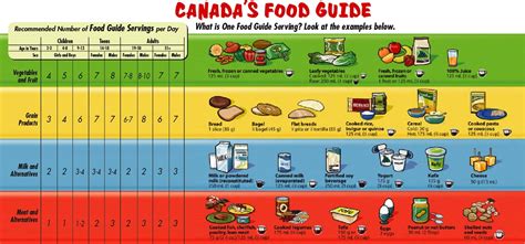(1)there is no value to present estimates for 53b as a group because of a wide variety of the food items included. Canada Food Guide - Canada's Food Guide - Canadian Food ...
