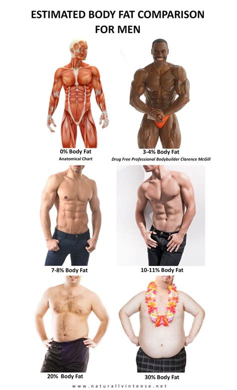 body fat percentage comparisons for men and women