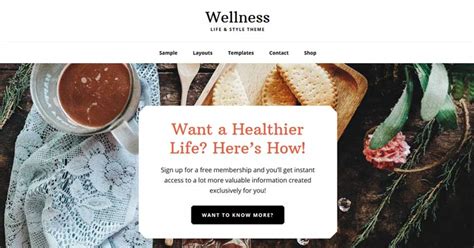 Wellness Pro Perfect Wordpress Theme For Health Websites