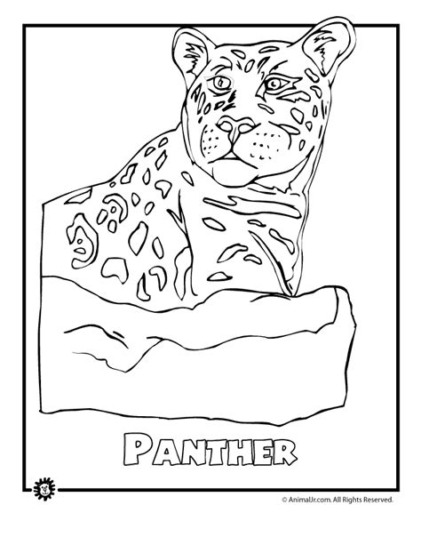 Endangered Animal Species Colouring Sheet Clip Art Library