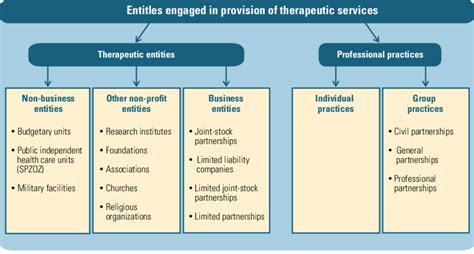 2 Types Of Health Care Providers Download Scientific Diagram