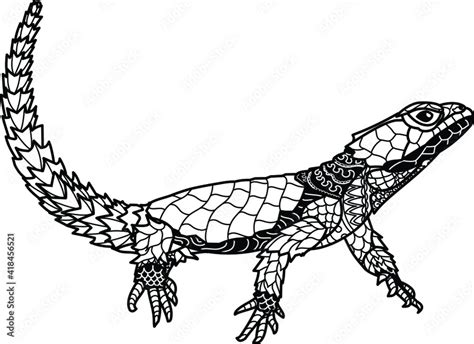 Armadillo Lizard Drawing
