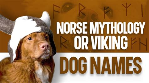 Norse Mythology Or Viking Dog Names Youtube