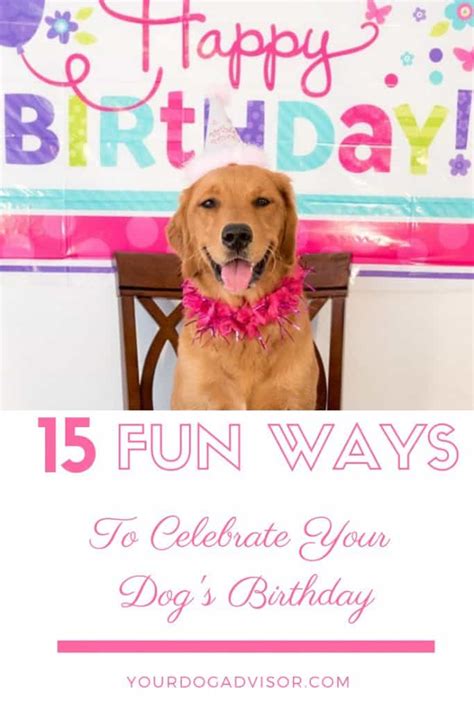 15 Fun Ways To Celebrate Your Dogs Birthday Your Dog Advisor