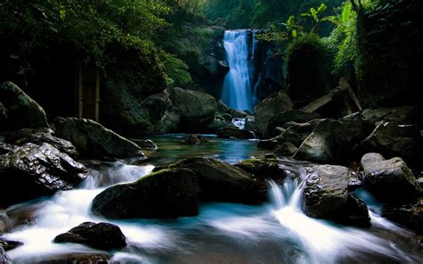 Waterfall in a forest stream wallpapers and images - wallpapers, pictures, photos