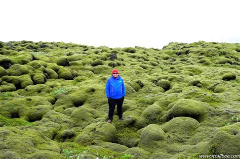 Icelands Eldhraun Lava Field Unmissable Sights Of Moss Covered