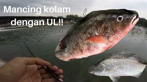 To get from batu pahat to melaka sentral prepare to shell out about myr 10.29 for your ticket. KOLAM MANCING AIR MASIN BATU PAHAT - Jalan Jalan Cari Ikan ...