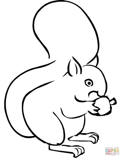Printable Squirrel Outline Printable Templates
