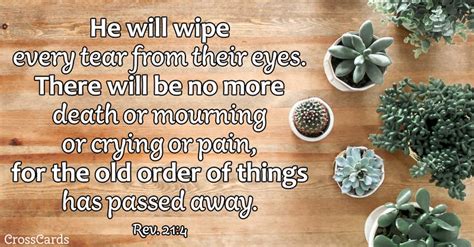Your Daily Verse Revelation 214