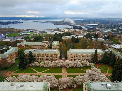 Uw Cherry Blossoms Drone Photography