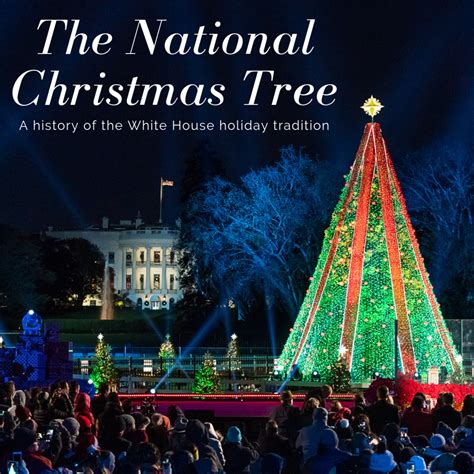 The National Christmas Tree At The White House Holidappy Celebrations
