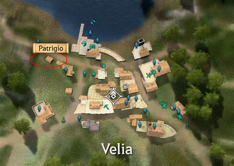 BDO Black Market: Patrigio's Night Vendor Shop - GrumpyG