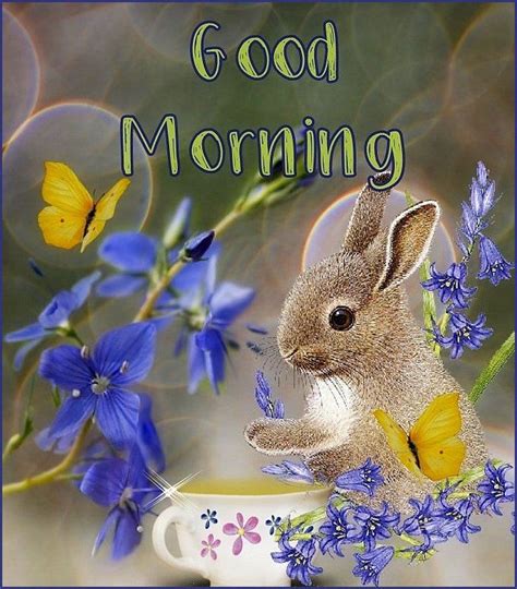 Bunny And Coffee Morning Quote Butterfly Coffee Bunny Cute Good Morning
