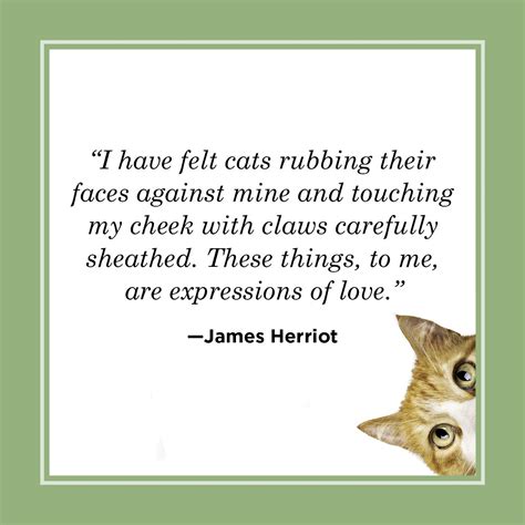 Quotes About Cats Love
