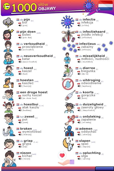 Learn Dutch Dutch Words Dutch Language Diy For Kids Beginners Map